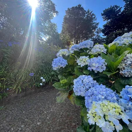 Natural Oasis With Panoramic View & Bio-diverse 9 950m2 Garden * Funchal (Madeira)