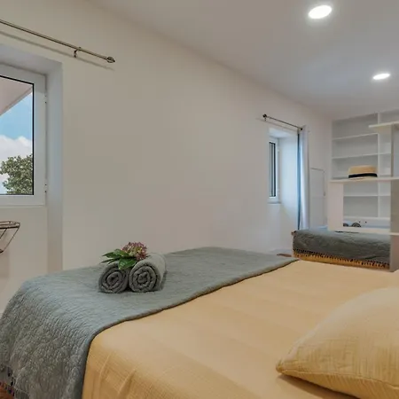 Natural Oasis With Panoramic View & Bio-diverse 9 950m2 Garden