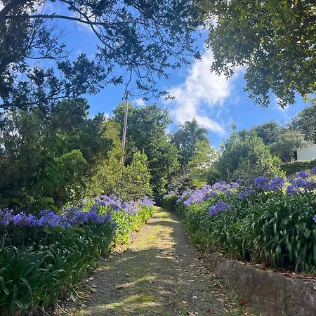 Natural Oasis With Panoramic View & Bio-diverse 9 950m2 Garden Willa
